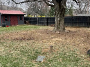 Leaf Removal by Katherine Tetzner for Ashley S. in Easton, PA