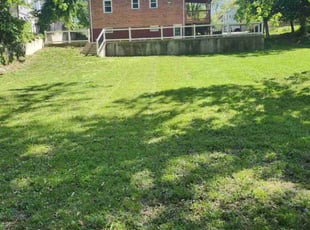 Tyrone L.'s Lawn Mowing Service service result