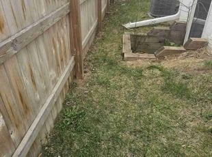 Cleanups by Thad Anderson for Katie C. in Omaha, NE