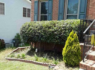 Wendy C.'s Bush Trimming service result