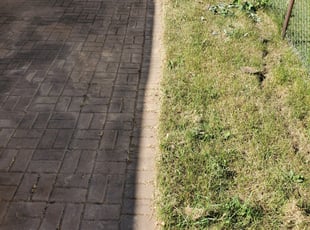 Cleanups by David Dawson for Ruth I. in Fitchburg, WI