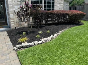 Weeding by Edwin Fernandez for Mike B. in Houston, TX