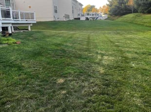 Norman C.'s Lawn Care service result
