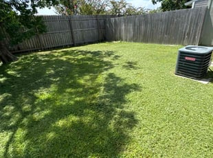 Breanna T.'s Lawn Mowing service result