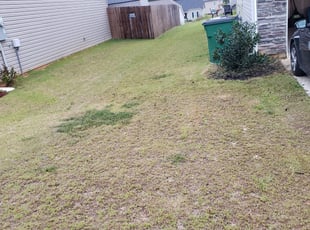 Bush Trimming by Jason Bullion for Larry A. in Fountain Inn, SC
