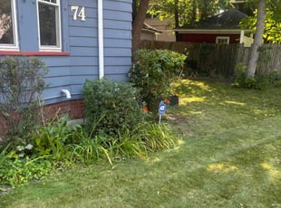 Bush Trimming by Trayvon Holt for Wade N. in Rochester, NY
