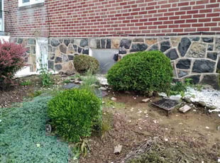 Bush Trimming by Kevin Malloy for Khalil M. in Wilmington, DE