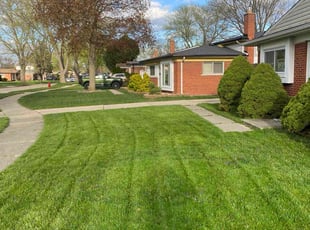 STACEE M.'s Yard Cutting service result