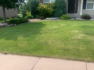 Curtis k.'s Yard Cutting service result