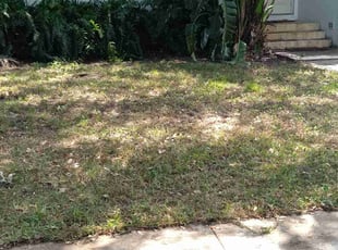 Leaf Removal by John Hernandez for Kelsey J. in Miami, FL