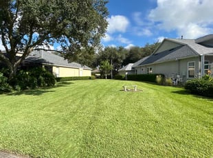 Mary M.'s Grass Cutting service result