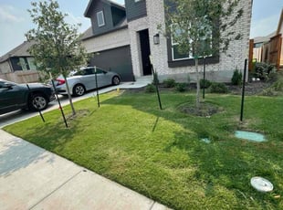 Eugene C.'s Lawn Service service result