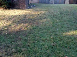 Leaf Removal by Brian Bradley for Carolyn B. in Arlington, TX
