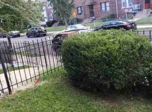 Bush Trimming by Chris Stewart for Olivia E. in Washington, DC
