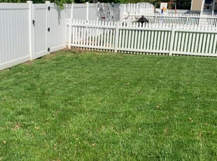 Leaf Removal by Jamel Evans for Justin D. in Midlothian, VA