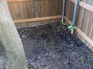Leaf Removal by Eric Goetz for Doreen S. in Fort Worth, TX