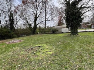 Leaf Removal by Jake Elrod for Tasha L. in Greenville, SC