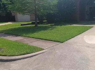 Angela T.'s Lawn Care service result