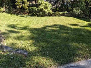 Mia M.'s Lawn Service service result