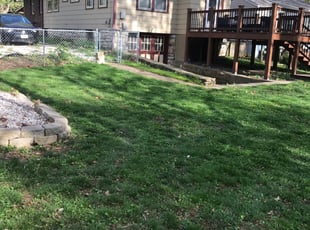 Cleanups by Ben Williams for Rachelle G. in Kansas City, MO
