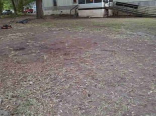 Leaf Removal by Bob Dasher for Robert C. in Saint Helena Island, SC