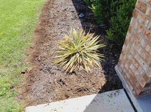 Weeding by Jesus Valencia for Miosha B. in Denton, TX
