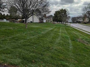 Don L.'s Lawn Care service result