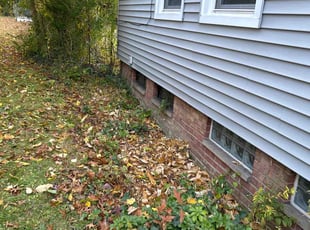 Bush Trimming by Jason Parker for Lena V. in South Euclid, OH