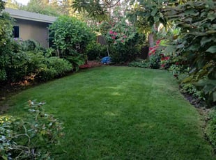 Linda C.'s Lawn Mowing Service service result