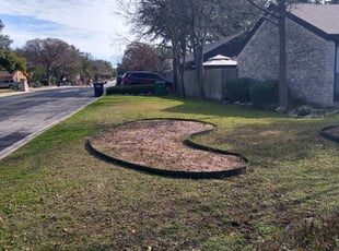 Cleanups by Jason Salazar for Jeanine P. in San Antonio, TX