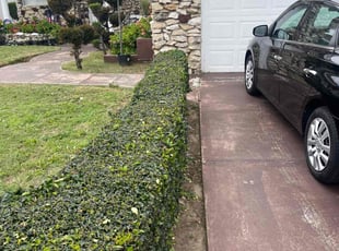 Bush Trimming by Fernando Gomez Rodriguez for Mika B. in Compton, CA