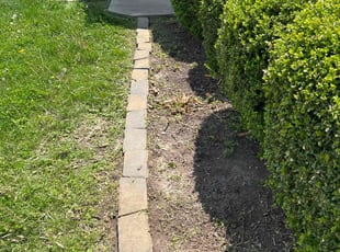 Cleanups by Shawn Byers for Kora N. in Kansas City, MO