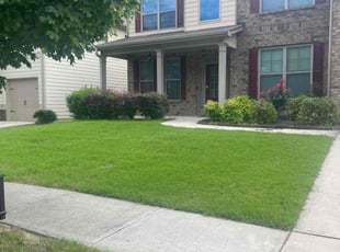 Destin B.'s Lawn Mowing service result