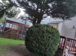 Bush Trimming by Manny Chavez for Jerry C. in Woodbridge, VA