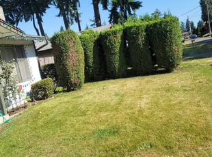 James W.'s Bush Trimming service result