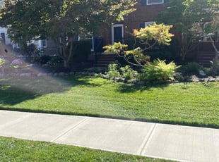 Malique S.'s Lawn Maintenance service result