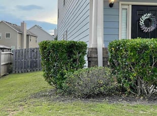 Bush Trimming by Onyeche Smith for Krishner P. in Fairburn, GA