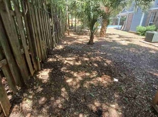 Cleanups by Jessi Raulerson for Michael M. in Jacksonville, FL
