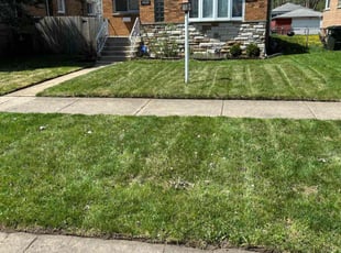 Amy G.'s Lawn Mowing service result