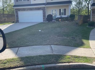 Wayne p.'s Lawn Service service result