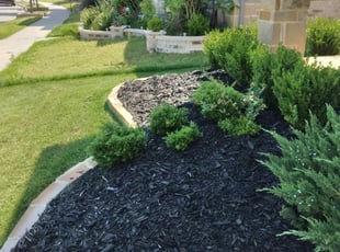 Weeding by Severa Rosie Lara for Laura F. in Euless, TX