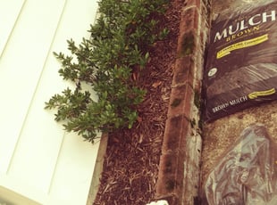 Weeding by Ronnell Leak for David O. in Washington, DC