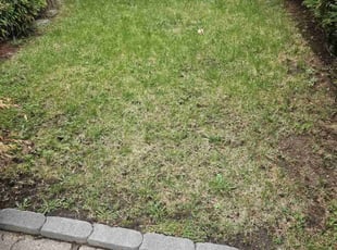 Cleanups by Yefri Mata for Ignacio F. in Elmont, NY