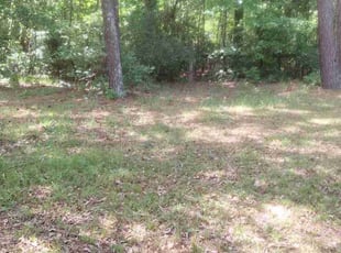 Cleanups by Andrea Dare for Jacqueline M. in Hockley, TX