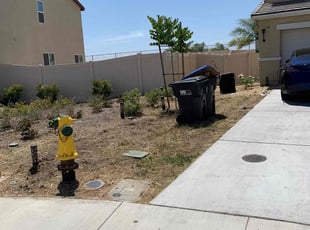 Cleanups by Mario Monje for Anemsia S. in Perris, CA