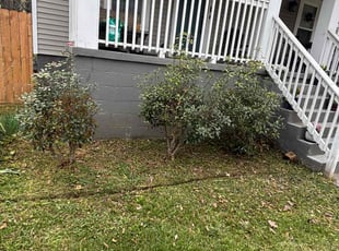 Cleanups by Naji Robinson for Rebecca M. in Greenville, SC