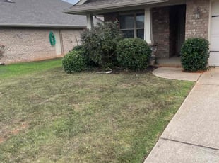 Bush Trimming by Jecory Garrett for Mike F. in Madison, AL