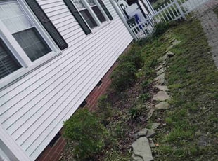 Bush Trimming by Nicole Royster for Matthew H. in Norfolk, VA