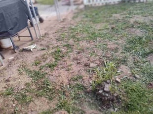 Cleanups by Yolanda Alvarado for Drea M. in Corona, CA