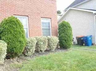 Bush Trimming by Chris Stewart for Lakisha J. in Washington, DC